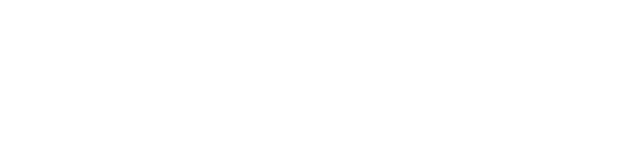 Onze Partner Black Label Hospitality Logo White 300