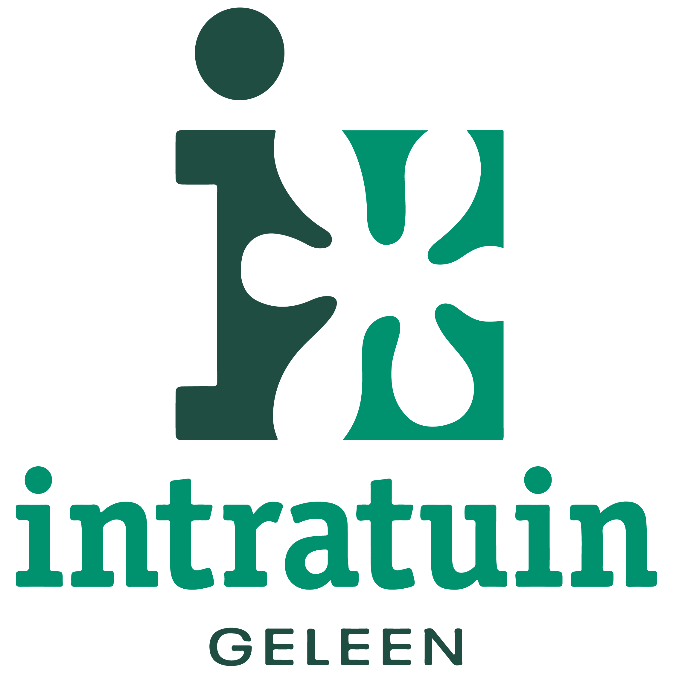 Onze Partner IT logo Geleen socials 01