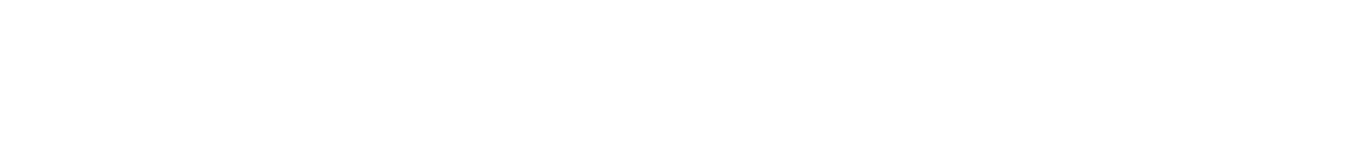 Onze Partner Logo Mart Geers DIAP