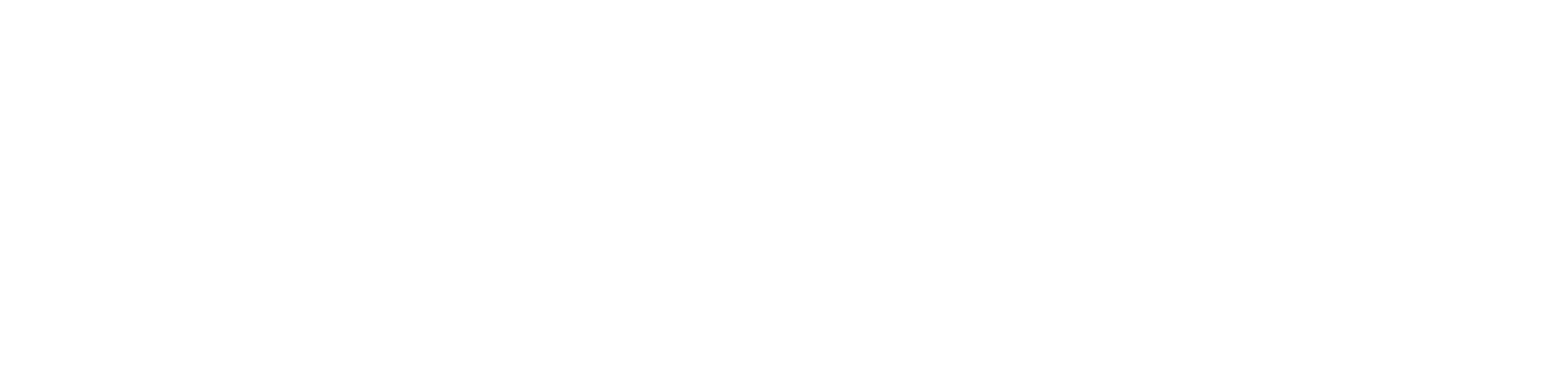 Onze Partner TINQ E full white RGB